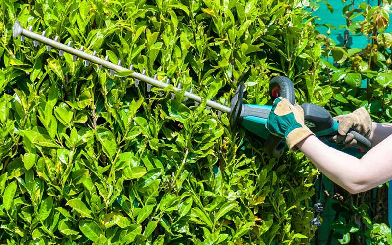 dreamstime_xl_40865107