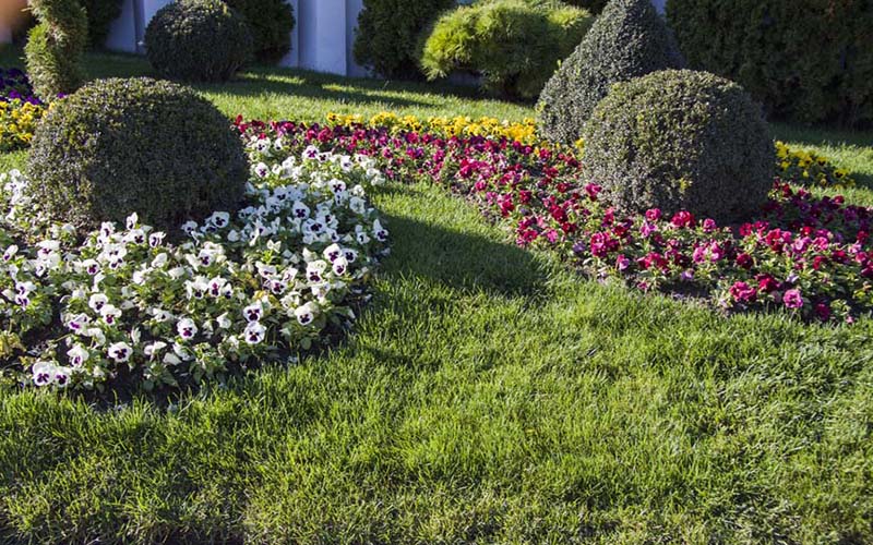 dreamstime_xl_45979602