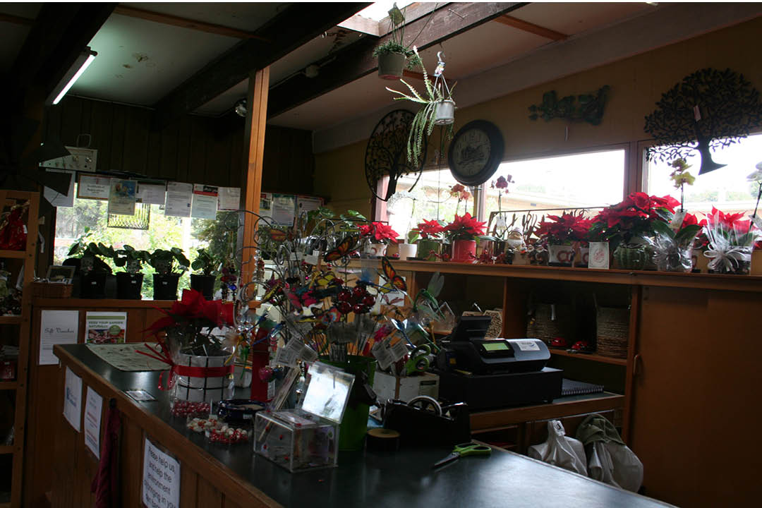 Valley-Road-Nursery10.jpg