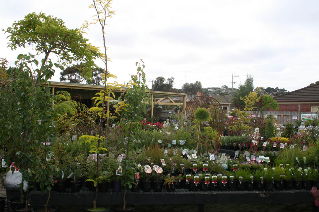 Valley-Road-Nursery2.jpg