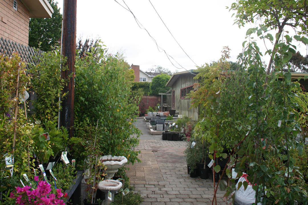 Valley-Road-Nursery3.jpg