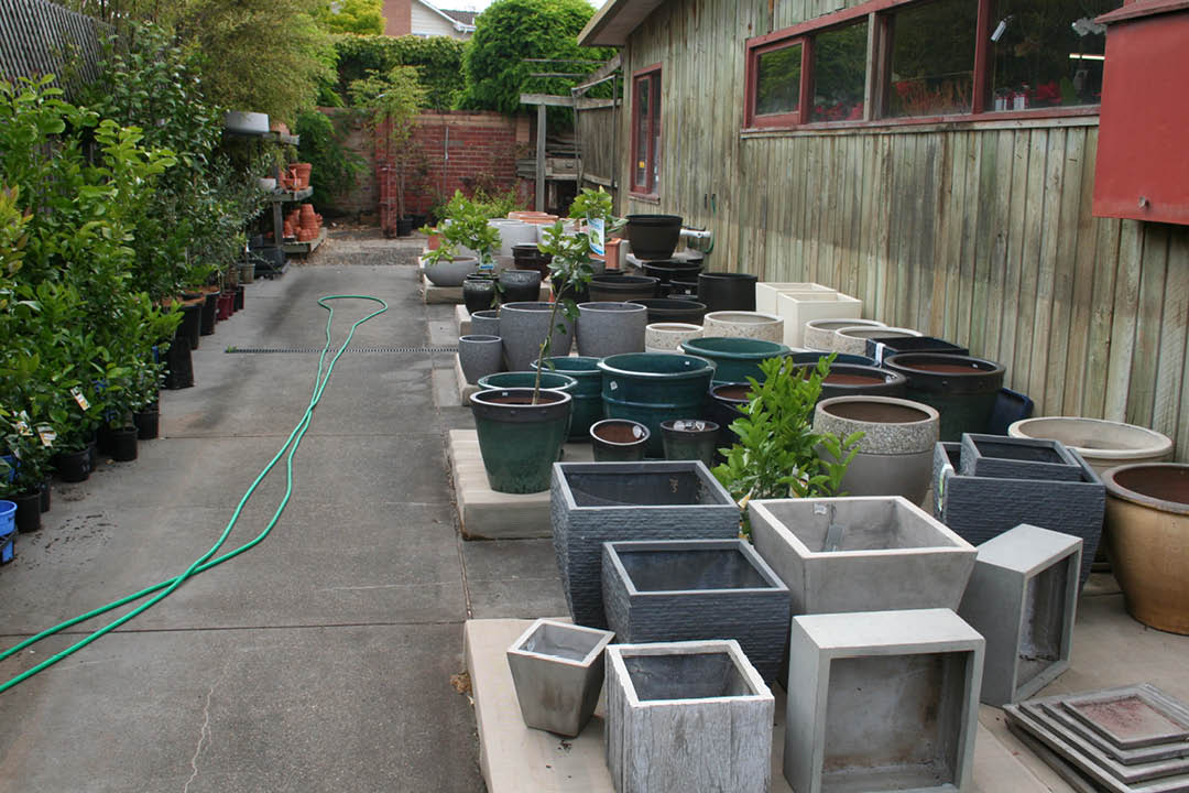 Valley-Road-Nursery4.jpg