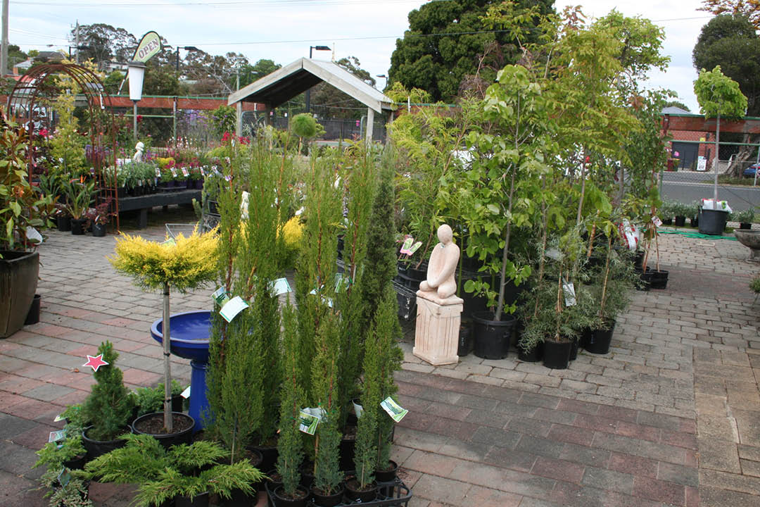 Valley-Road-Nursery5.jpg