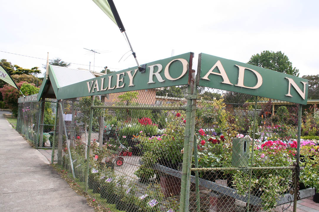 Valley-Road-Nursery7.jpg