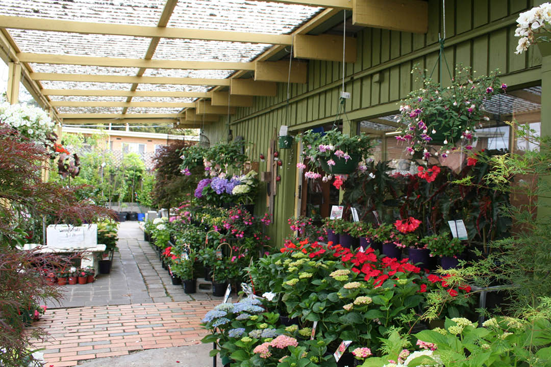 Valley-Road-Nursery8.jpg