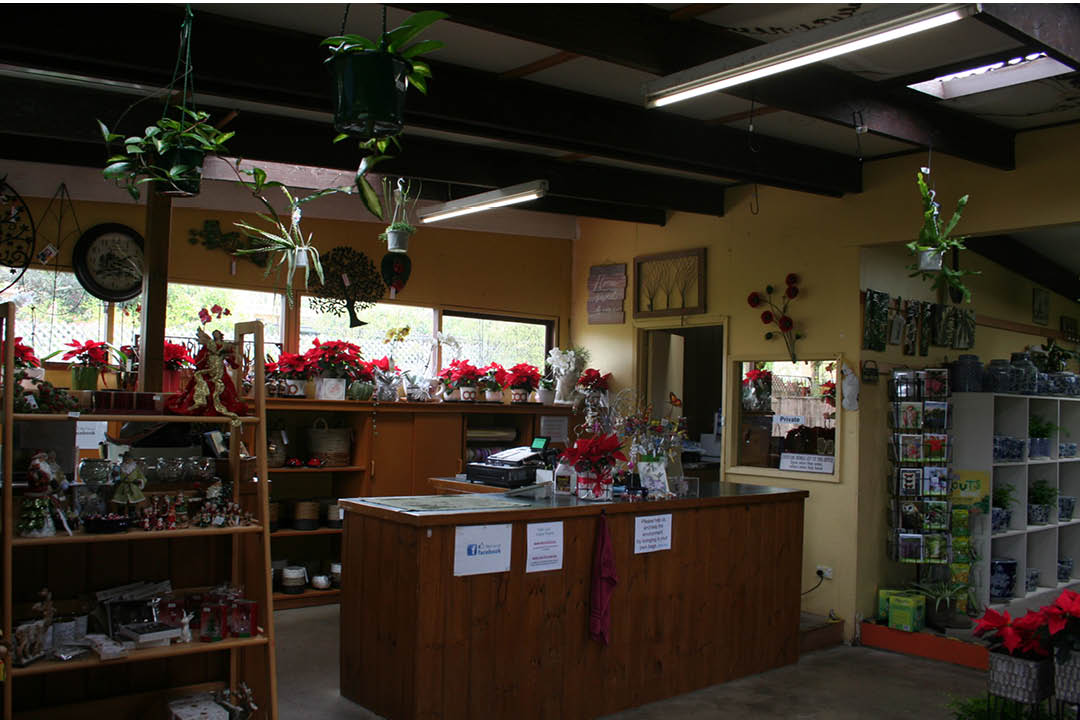 Valley-Road-Nursery9.jpg