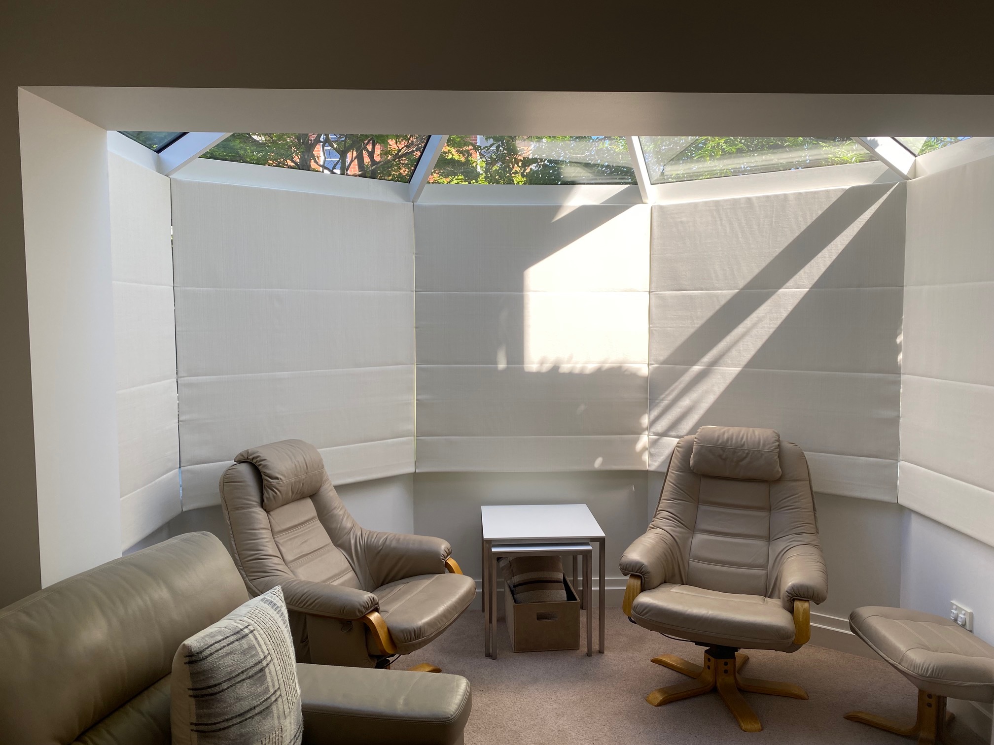 Matching-Panel-Roman-Blinds.jpg