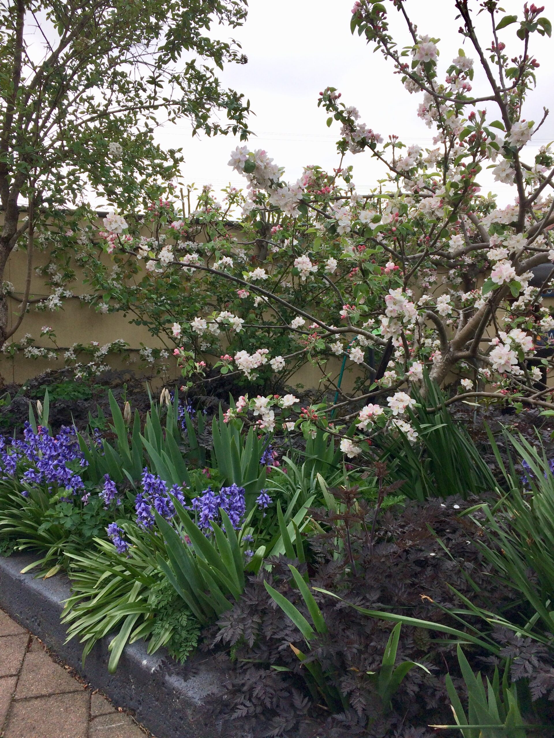 garden.jpg