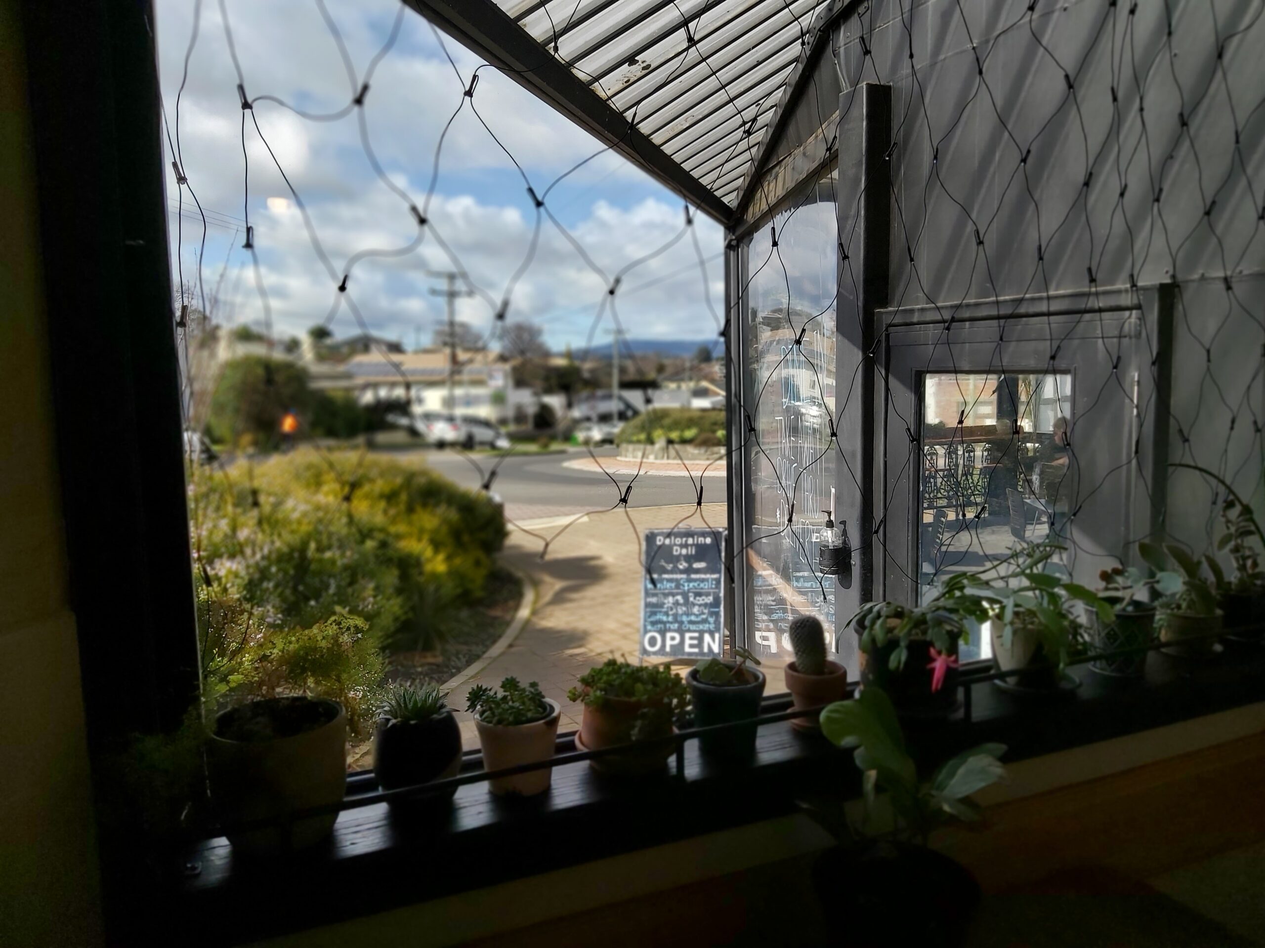 plants-in-window-onto-front-door-.jpg
