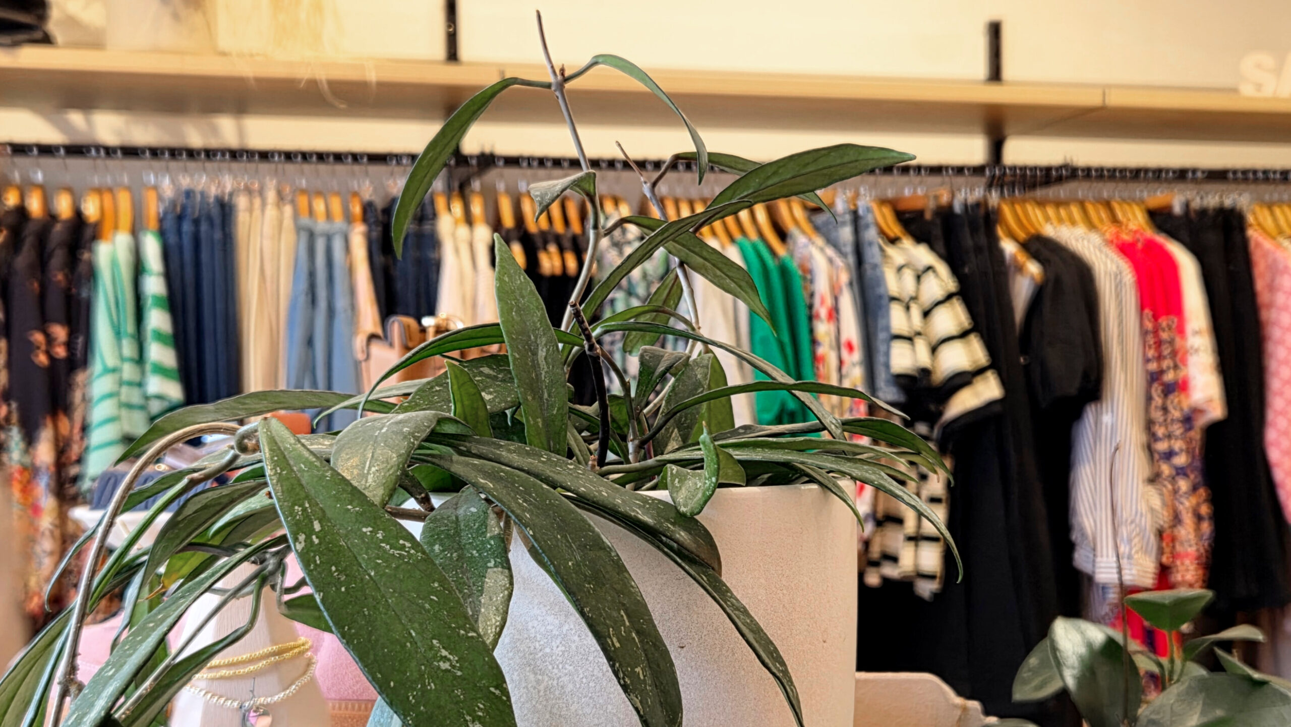 InShot_20250926_145349104