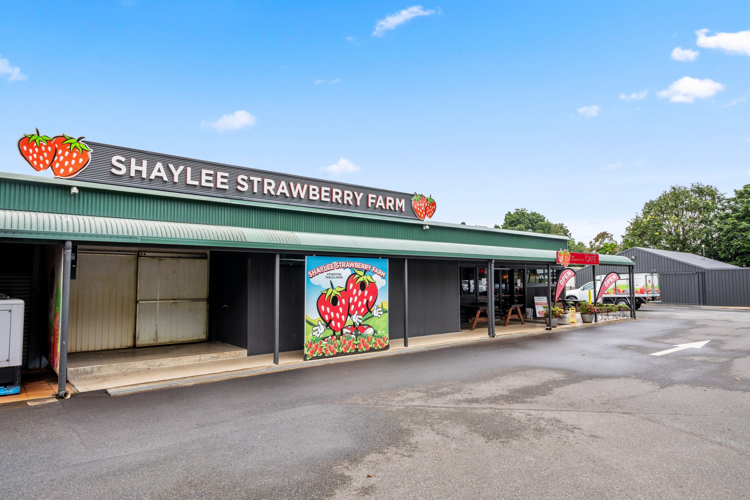 shaylee-strawberry-farm-22.jpg