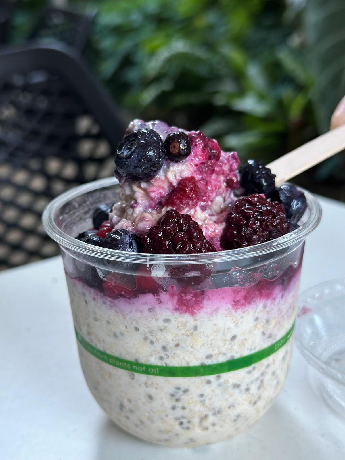 512470819_122126840756832744_5035515164924712446_n