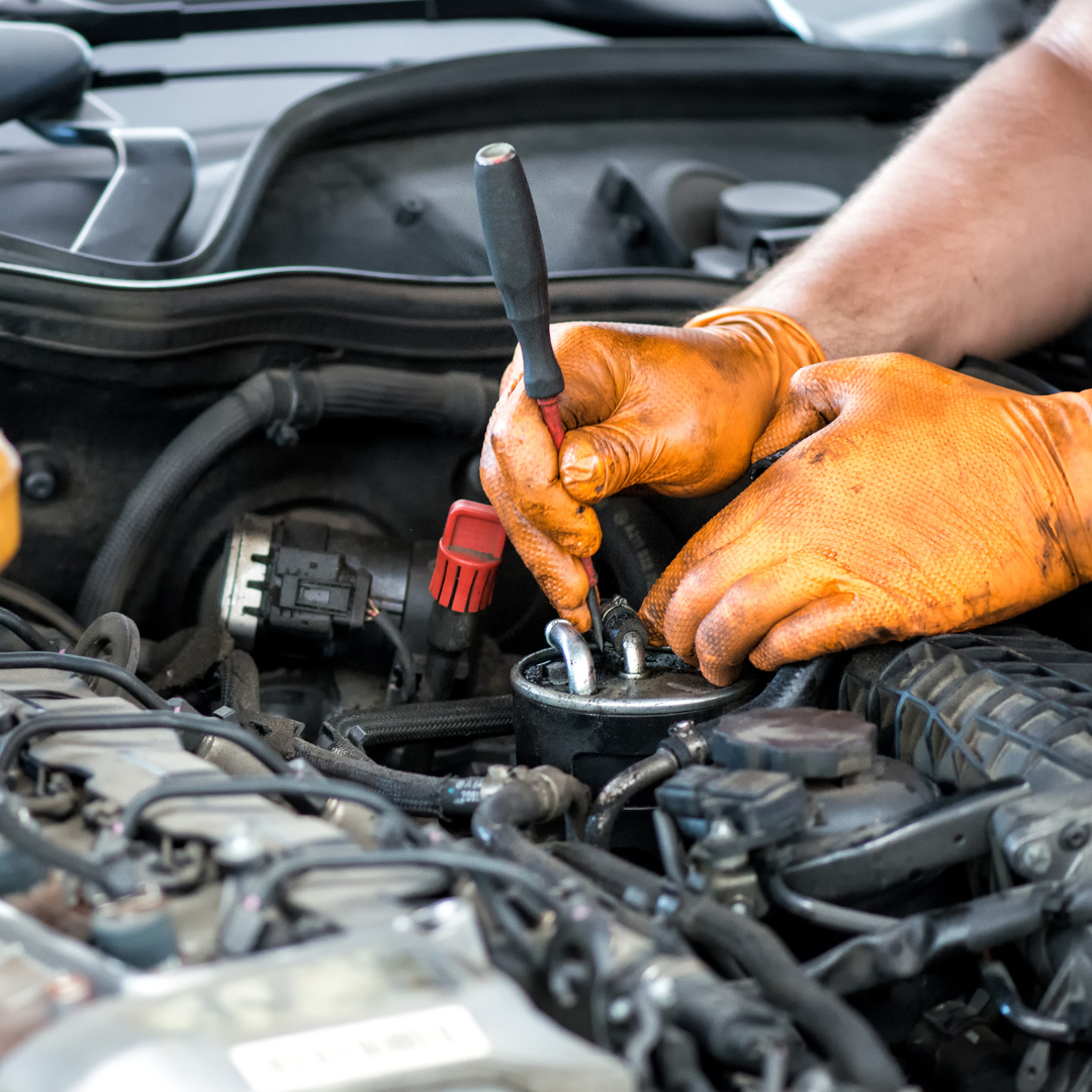 Director-Franchise-Owner-2