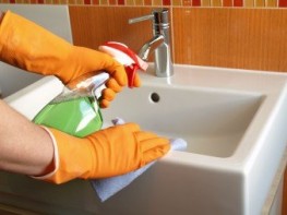 Cleaner-sink