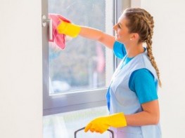 Cleaner