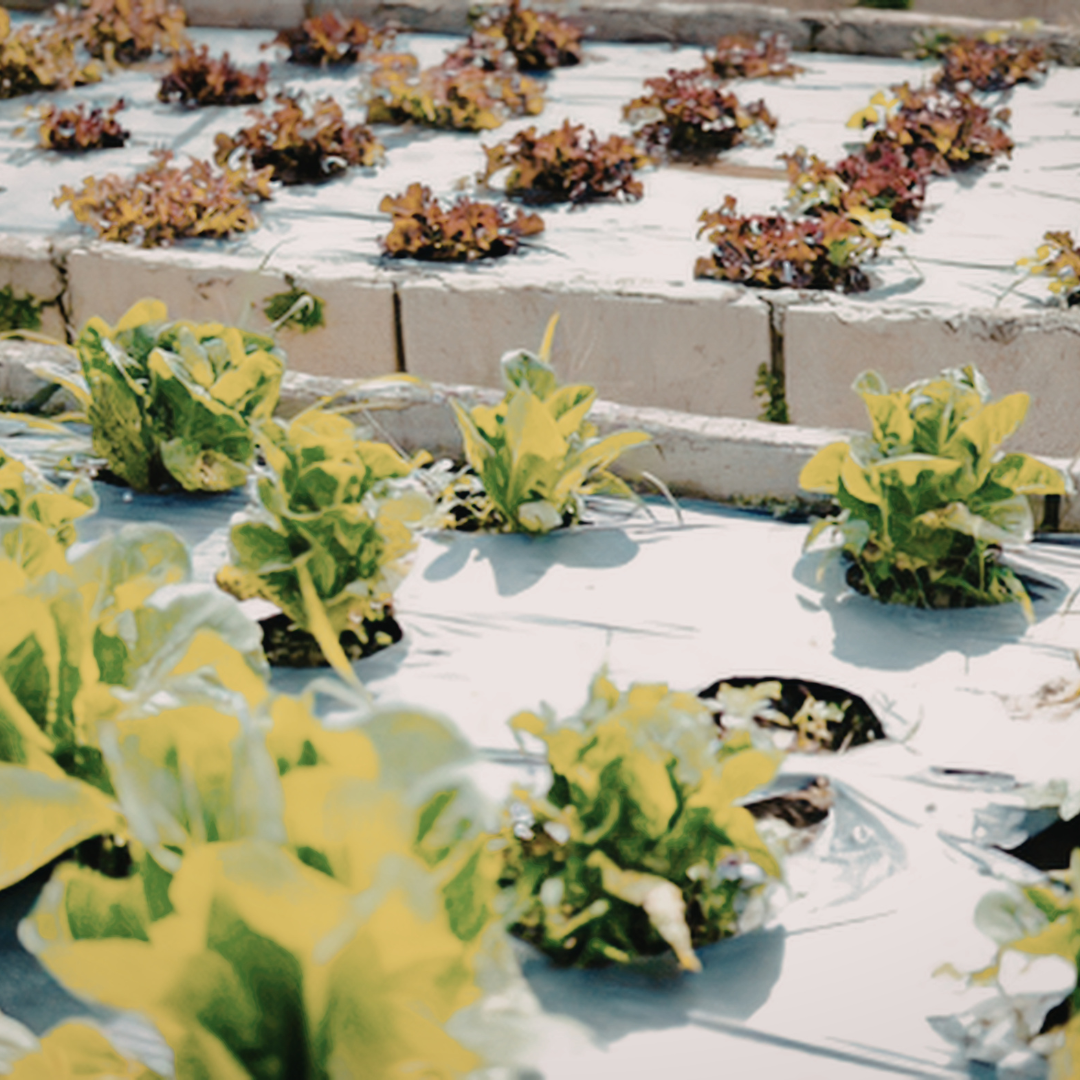 3-24